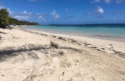 Plages des antilles cap Chevallier Martinique