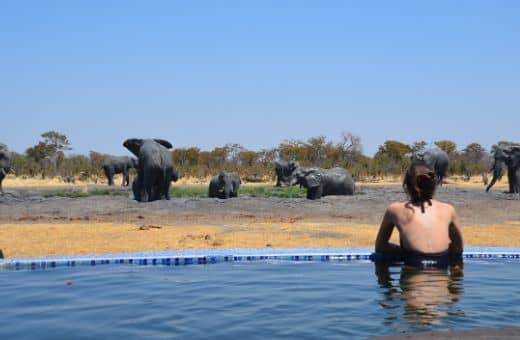 voyage de noces original Afrique safari éléphants
