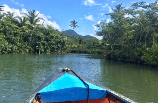 Indian River - balade en bateau voyage à la carte