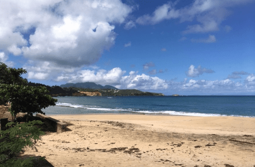 voyage île Dominique : plage de Batibou