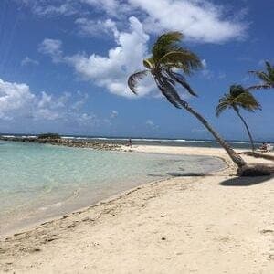 Voyage de luxe Caraïbes cocotiers caraïbes