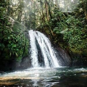 voyage aux caraïbes cascade écrevisses Guadeloupe