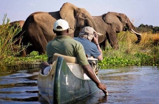Safari au Zimbabwe en canoë authentique aventure 