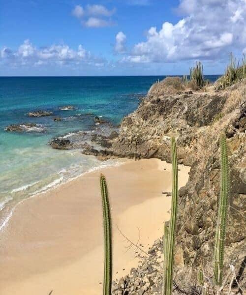 île aux fleurs voyage de luxe antilles Martinique cactus plage sable blanc